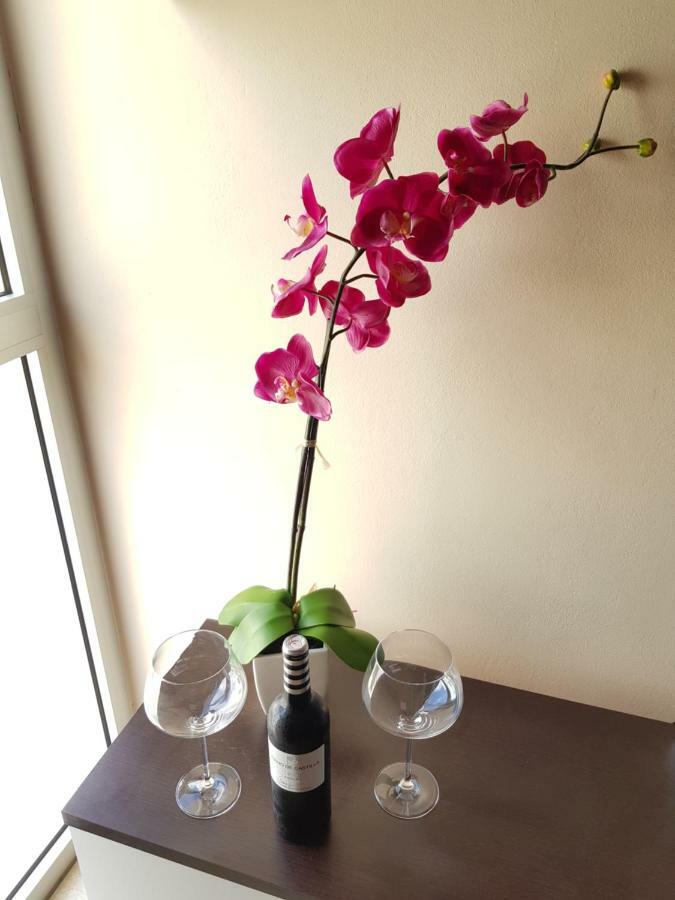Apartament Pto Rosario 4Pax プエルト・デル・ロサリオ エクステリア 写真